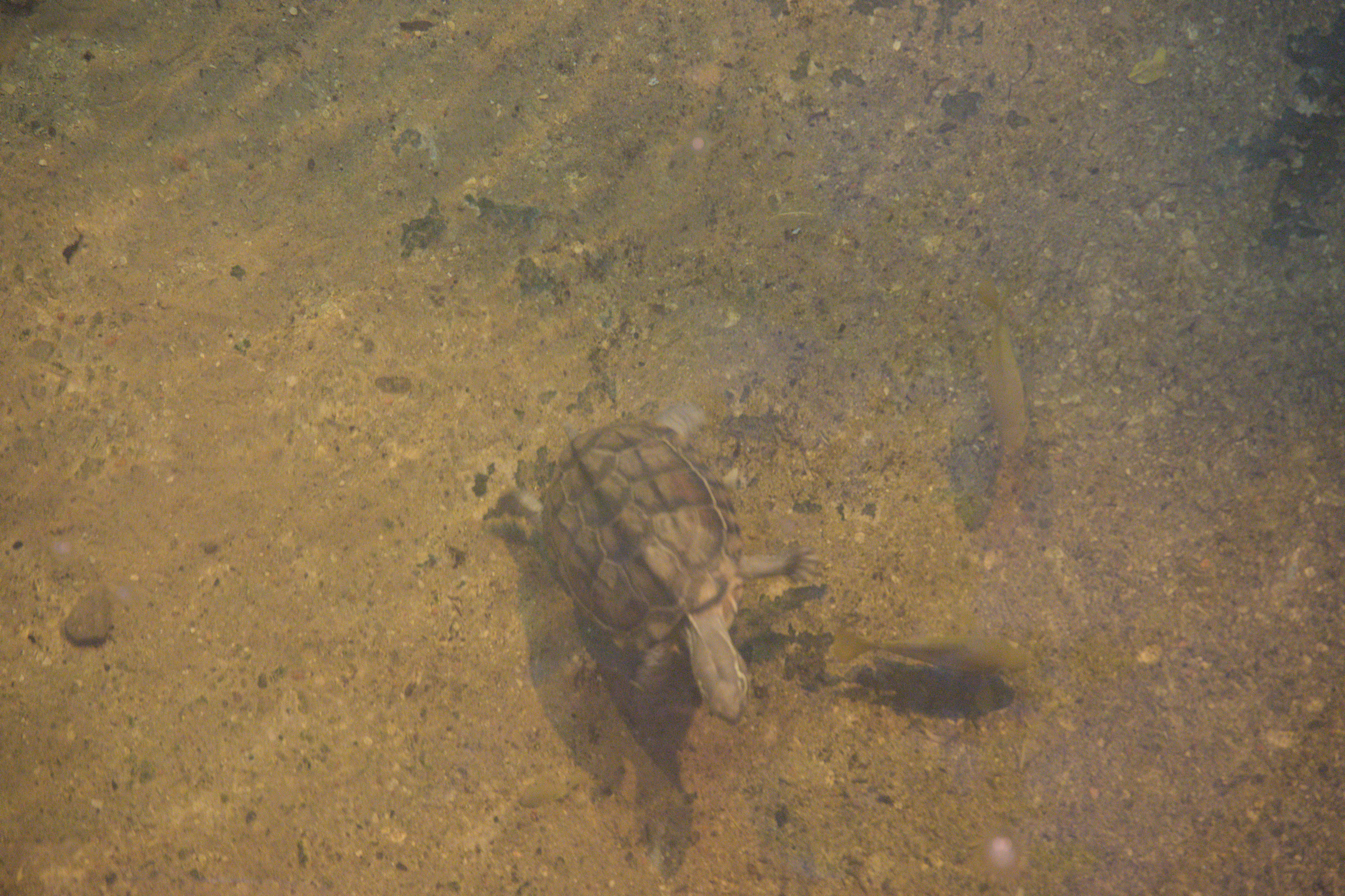 2025/10/12 - zoo/DSC_0138.jpg